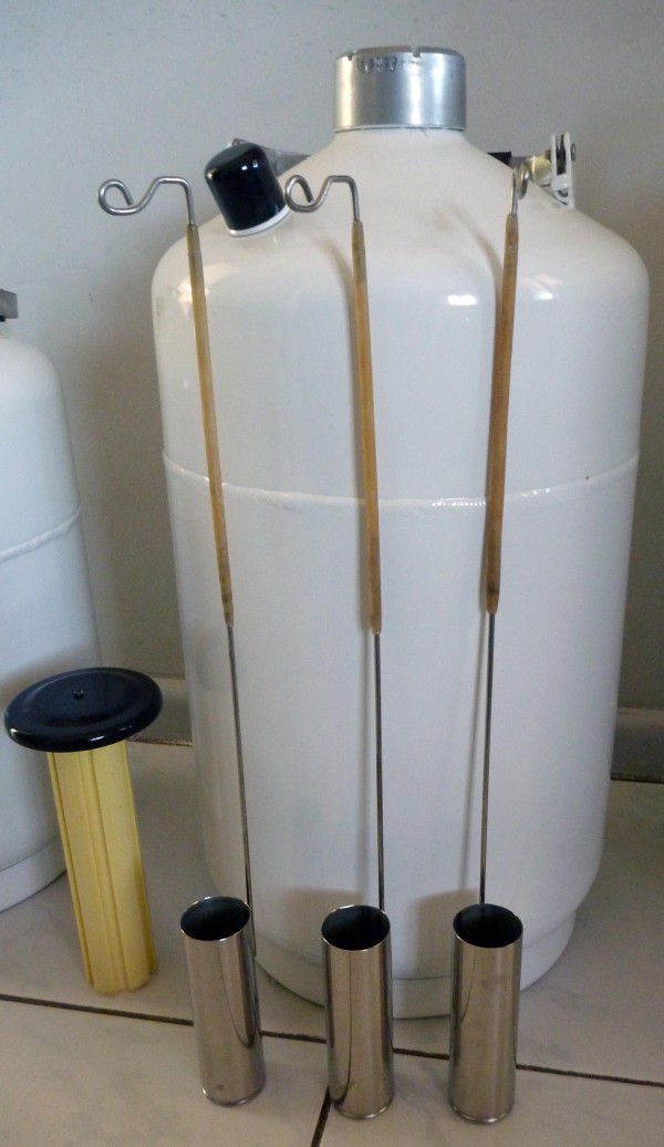 Liquid nitrogen dewar- Cryogenic flask 10L